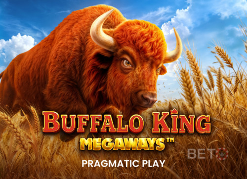 Buffalo King Megaways